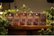 Conos Linea Cannabis Grow